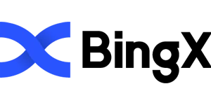 لوگوی بینگ ایکس